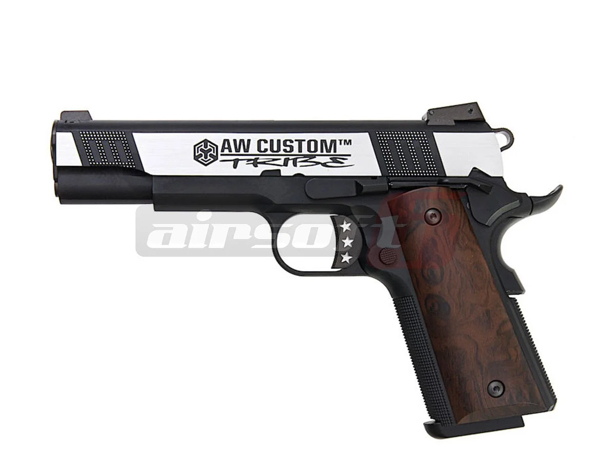 AW Custom NE3003